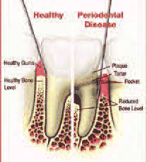 Delta Dental of South Carolina