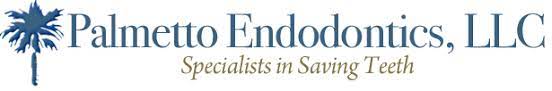 Company logo of Palmetto Endodontics