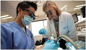 The Florida Dentists