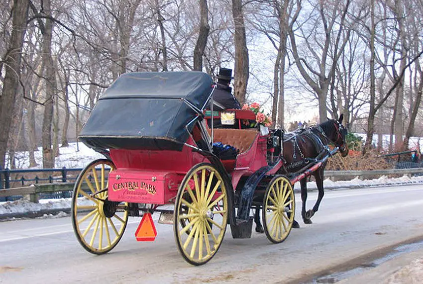 Central Park Carriages