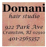 Business logo of Domani Hair Studio