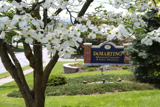 DeMartino Dental Group, P.C.