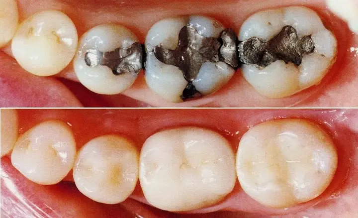 Holistic Dentists