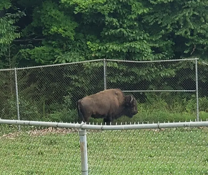 West Virginia State Wildlife Center