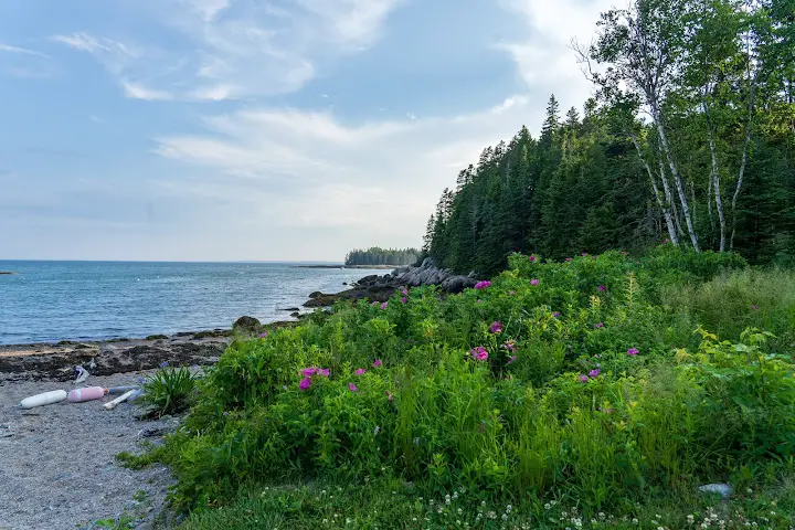 Aragosta at Goose Cove