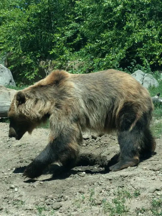 Minnesota Zoo