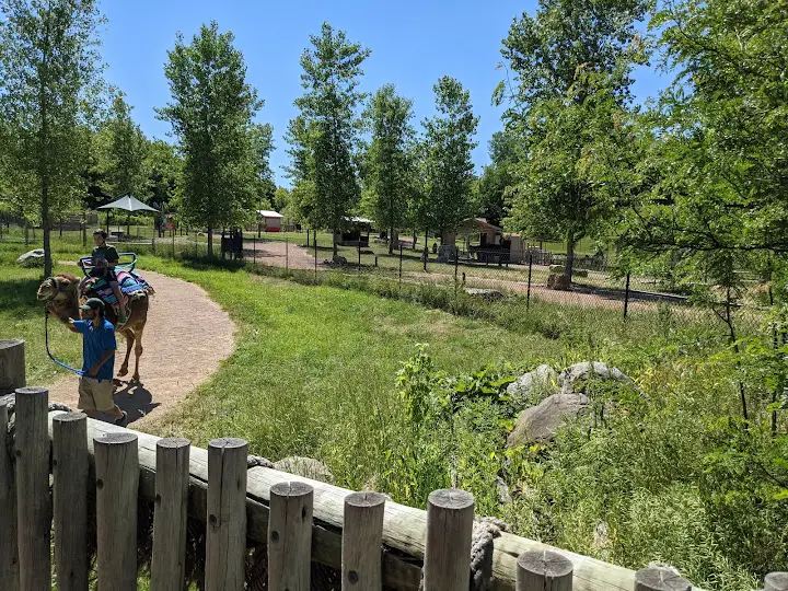 Minnesota Zoo