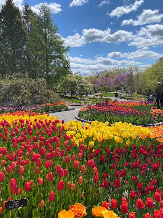 Minnesota Landscape Arboretum - Advance Reservations/Tickets Required