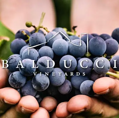 Company logo of Balducci Vineyards