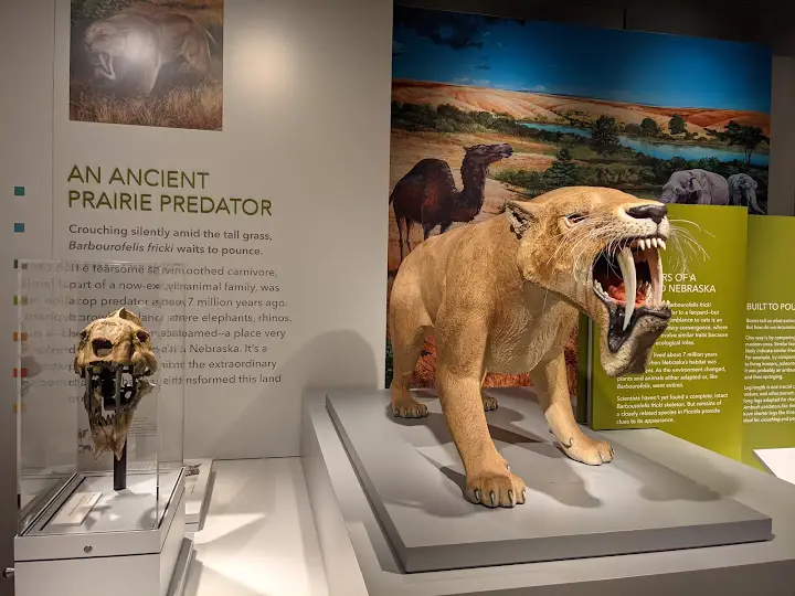 University of Nebraska State Museum - Morrill Hall