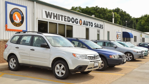 Whitedog Import Auto Service