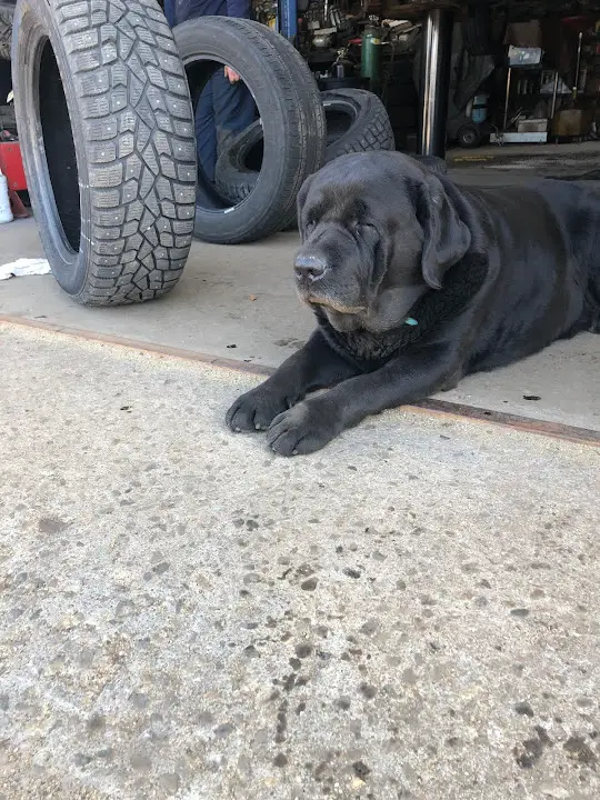 Sanborn's Auto Repair