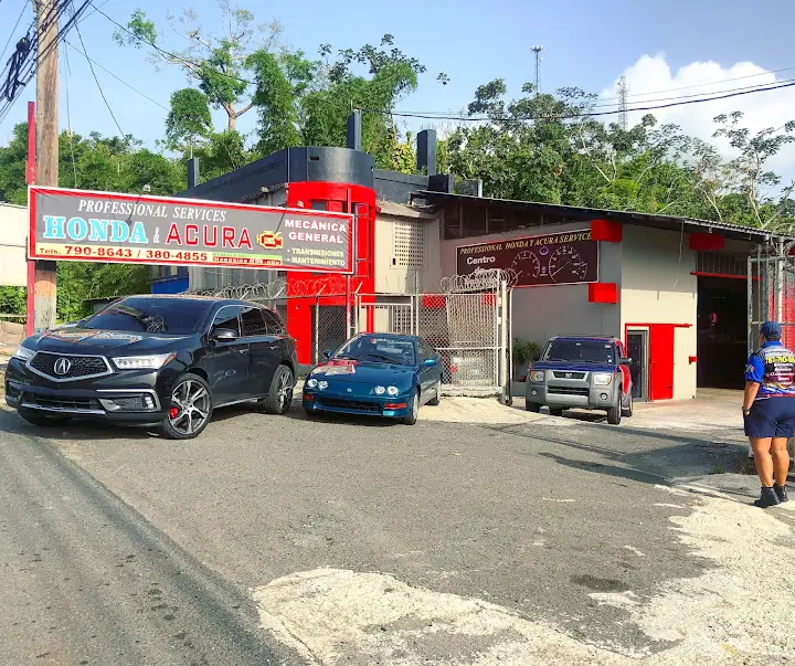 PROFESSIONAL HONDA & ACURA SERVICES