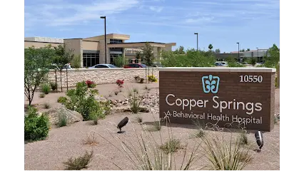 Business logo of Copper Springs