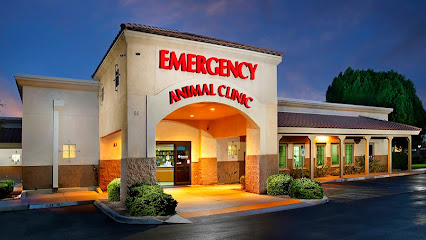 Business logo of Arizona Veterinary Emergency & Critical Care Center