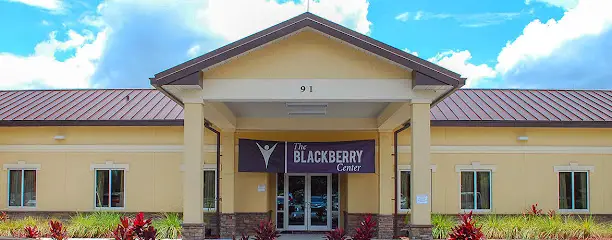 Company logo of The Blackberry Center