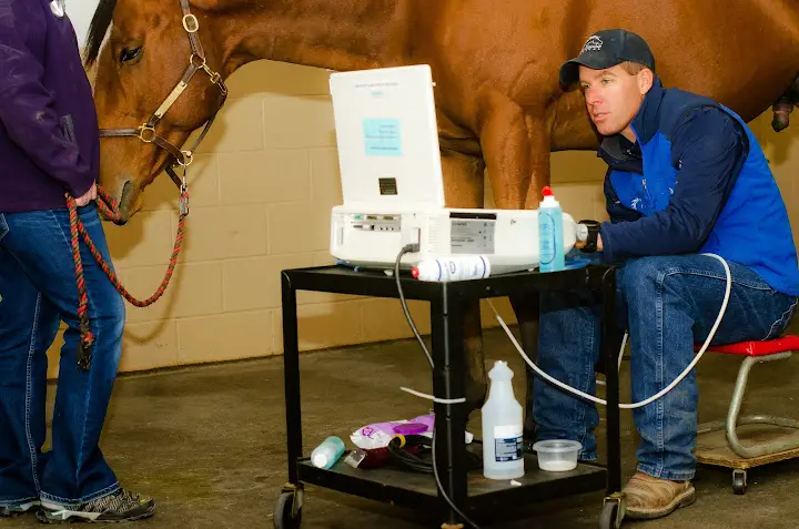 Idaho Equine Hospital