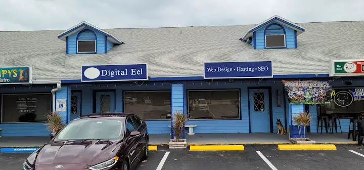 Digital Eel Inc