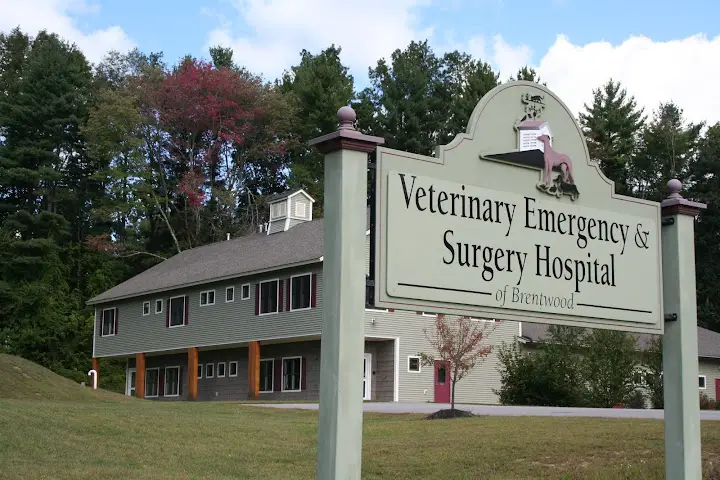 Veterinary Emergency & Surgery Hospital