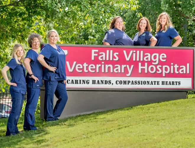 Falls Village Veterinary Hospital