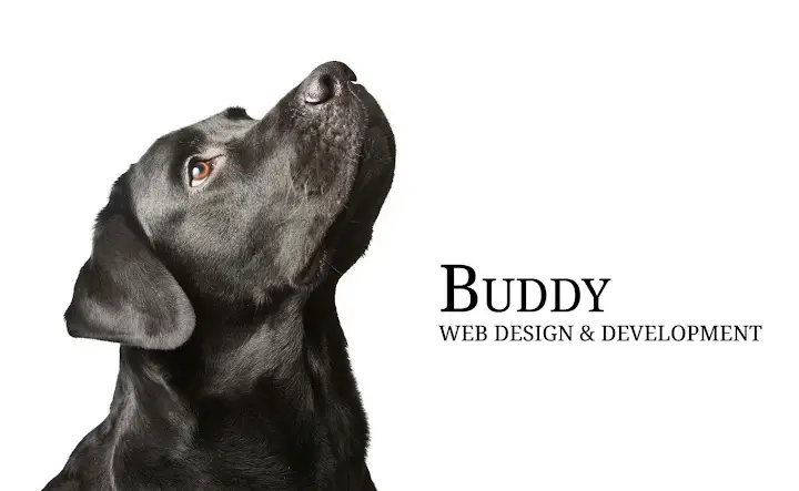 Buddy Web Design & Development - Web Developer, Graphic Design, Logo Design
