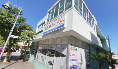 Company logo of Miramar Animal Hospital