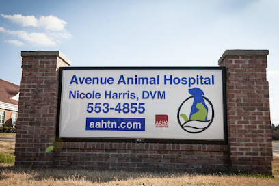 Company logo of Avenue Animal Hospital