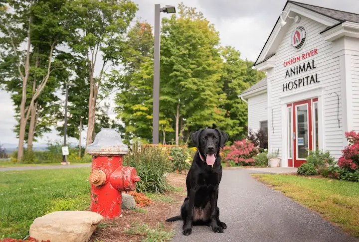 Onion River Animal Hospital