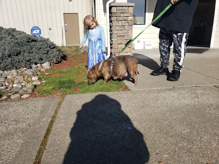 Tahoma Veterinary Hospital