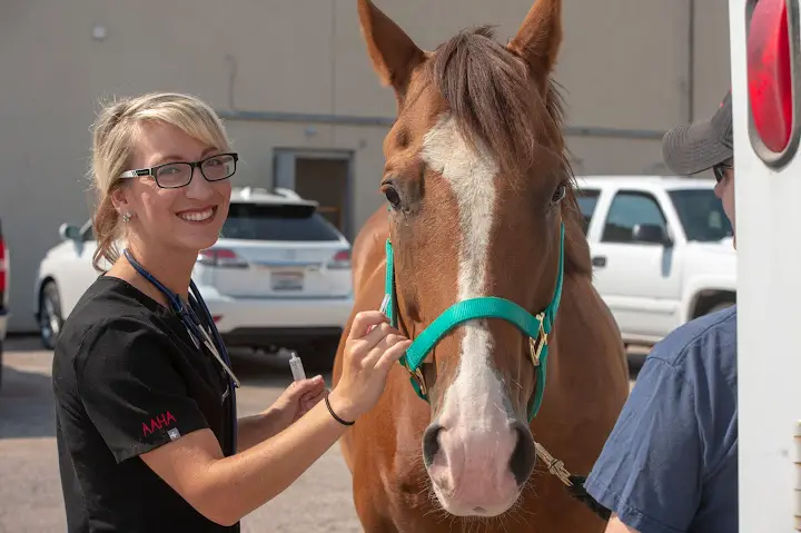 Red Hills Veterinary Hospital