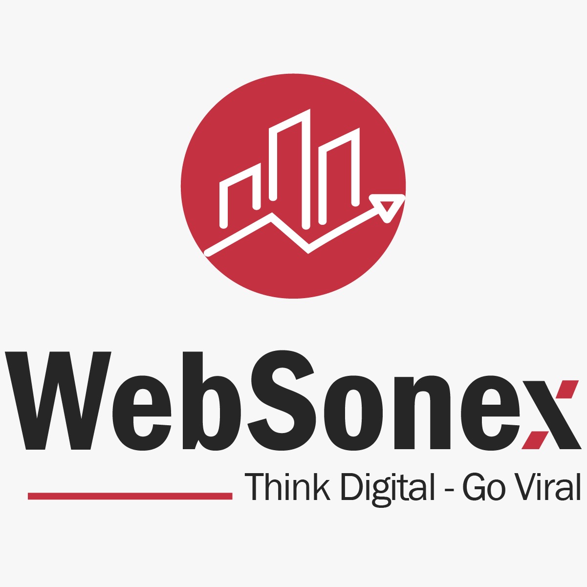 Company logo of WebSonex - Digital Marketing Agency