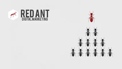 Company logo of Red Ant Digital Marketing