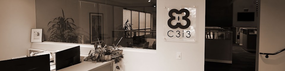 Company logo of C3i3 | Bay Area Web Design