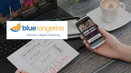 Company logo of Blue Tangerine