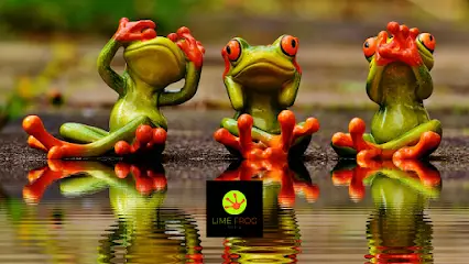 Company logo of Lime Frog Media, LLC.