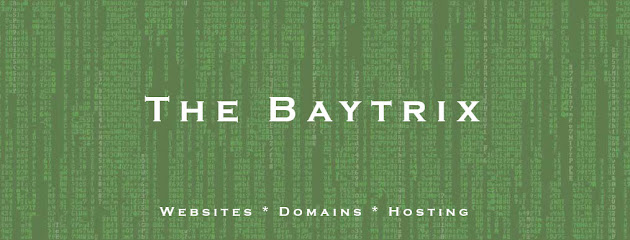 Company logo of The Baytrix