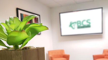 Company logo of BCS Website Services