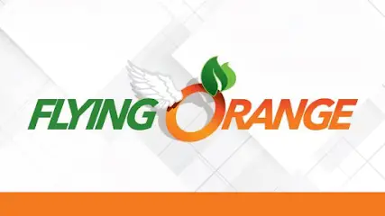 Company logo of Flying Orange