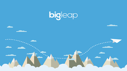 Company logo of Big Leap, LLC