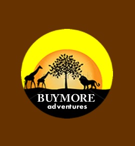 Company logo of BuyMore Adventures