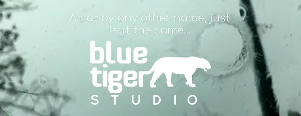 Company logo of Blue Tiger Studio