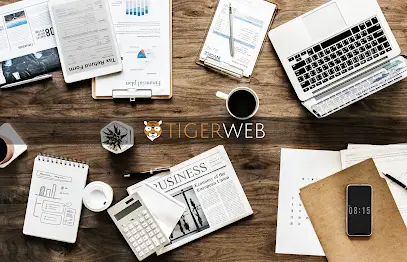 Company logo of Tigerweb Marketing