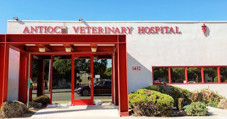 Company logo of Antioch Veterinary Hospital - 10th Street
