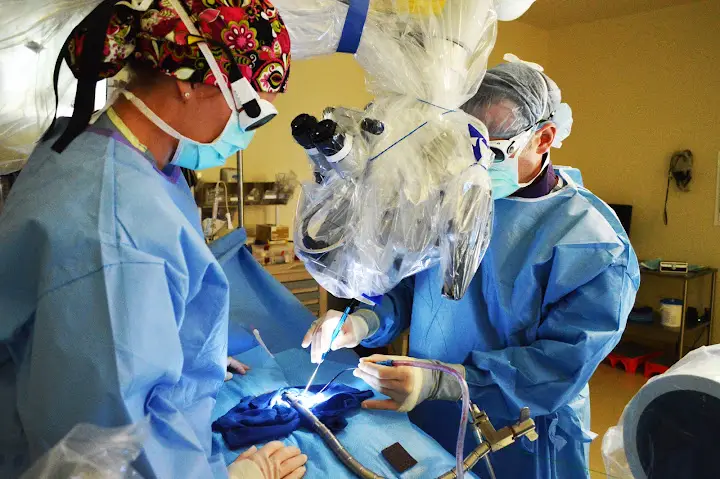 The Spine Hospital of Louisiana at The NeuroMedical Center