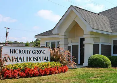 Company logo of Hickory Grove Animal Hospital
