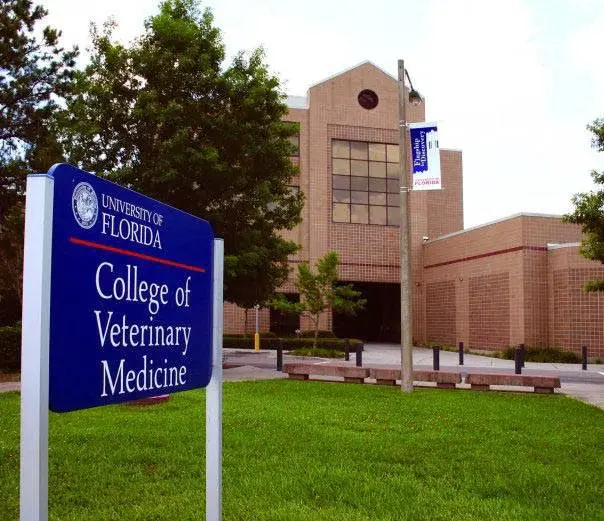 UF Veterinary Hospitals