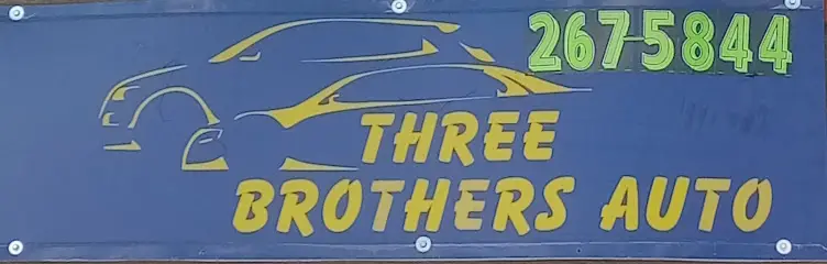 Business logo of Three Brothers Auto