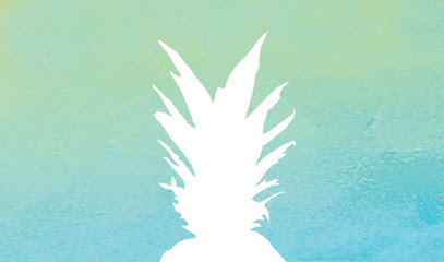Company logo of Pineapple Auto Glass