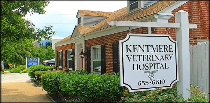 Kentmere Veterinary Hospital