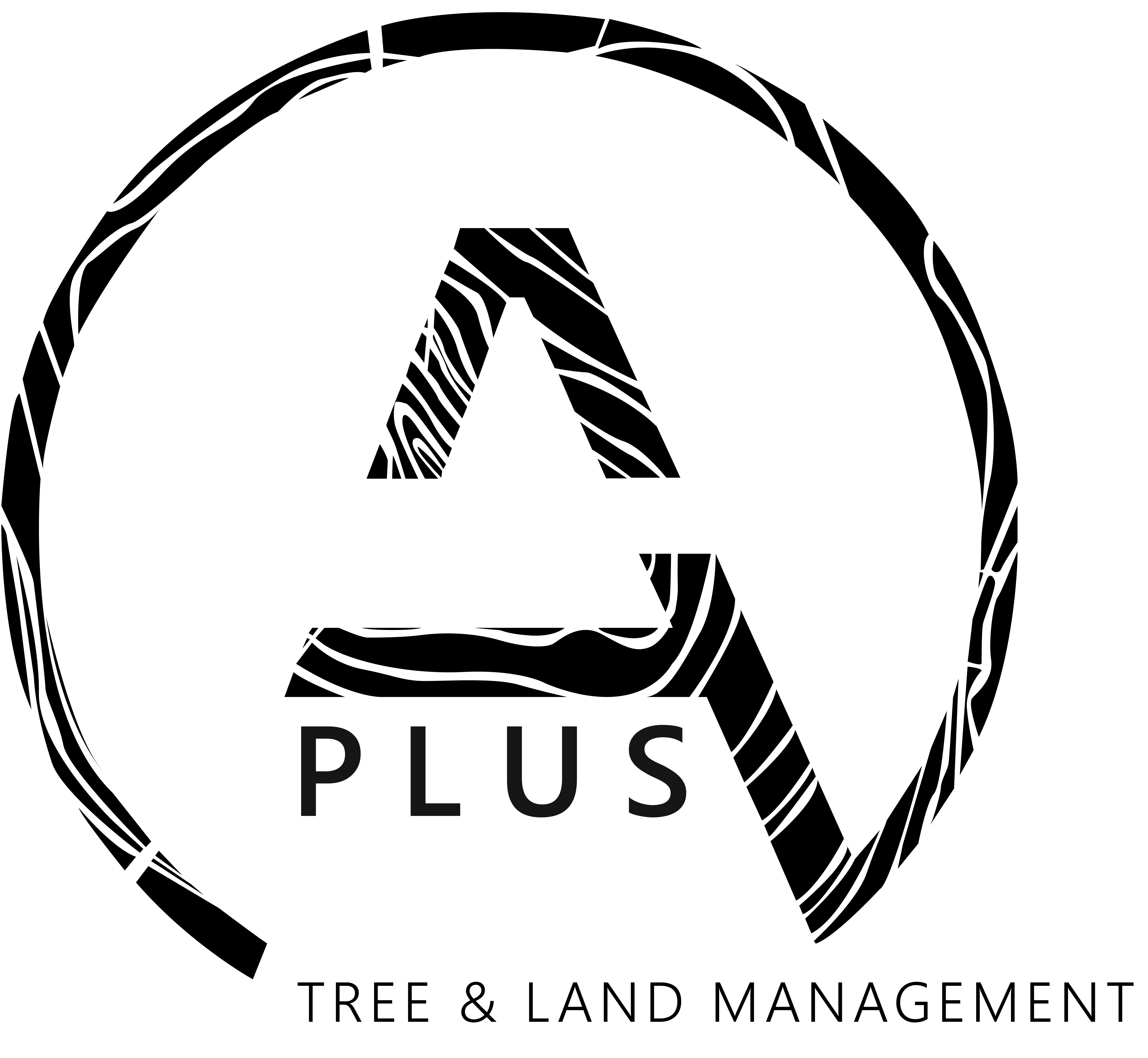 Business logo of A Plus Tree & Land Management